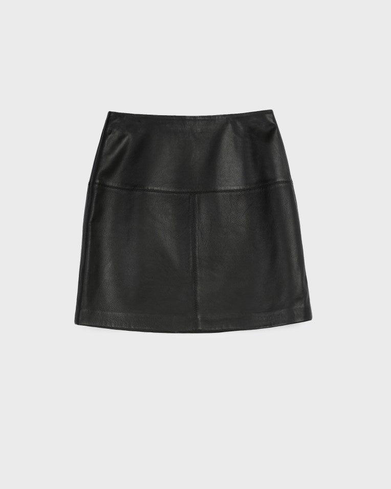 Valiat A-Line Leather Mini Skirt