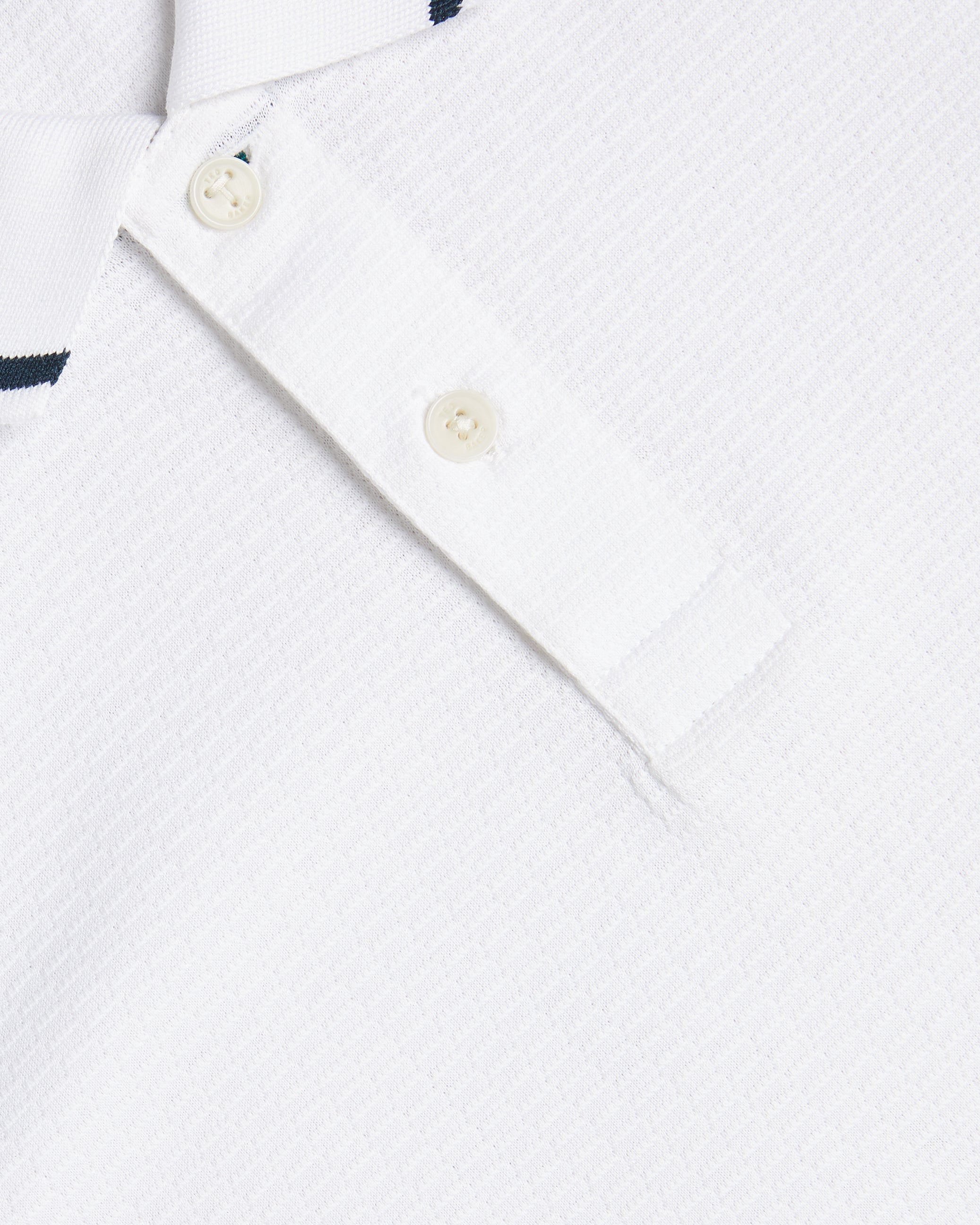 Erwen Regular Fit Textured Polo Shirt