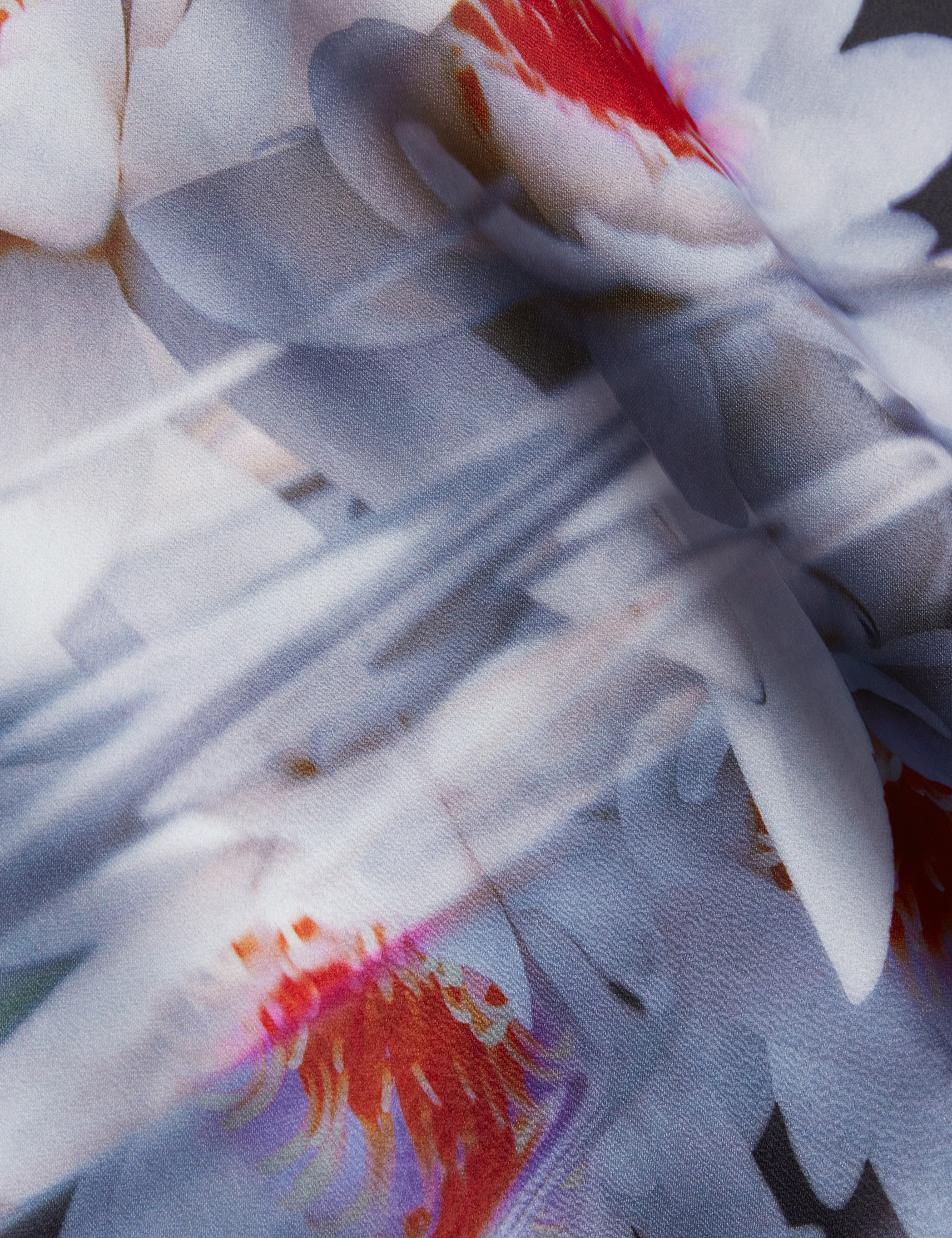 Sueza Floral Printed Midi Skirt Black